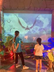 -恐龙探索乐园(磁器口店)