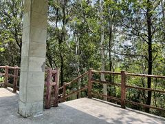 -火炉山森林公园