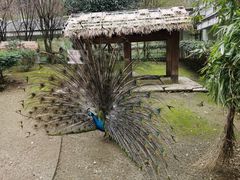 -黔灵山公园
