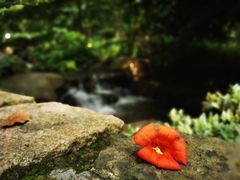-中国茶叶博物馆(双峰馆区)