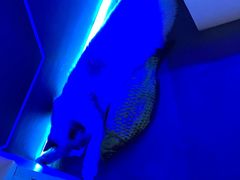 -零纪元VR体验馆·桌游(黄浦店)