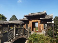 -三垟湿地