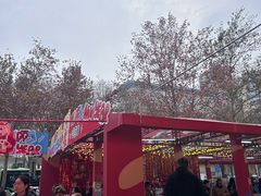 -西北轻工批发市场