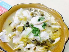 希望小学堂-做了不起的80后