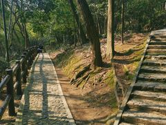 -上海佘山国家森林公园天马山园