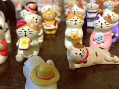 -猫咪博物馆(顶澳仔猫街店)