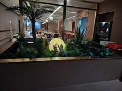 -宏宴·新京菜(望京店)