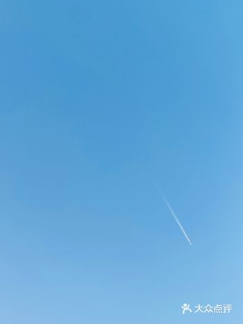 暗香疏影，冬日的美从雪下的枝杈，从一眼望去平淡的白茫
