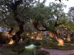 -Chom Cafe and Restaurant