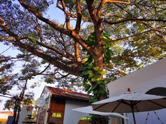 -Cheevit Cheeva(Sirimangkalajarn)