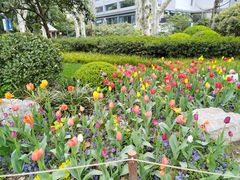 -静安公园(静安寺街道)