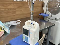 -爱侣宠医·鹦鹉专科·小型哺乳类·异宠专科(灵石路店)