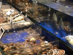 -高佳庄·舟山海鲜(海景旗舰店)