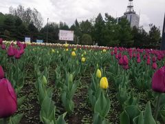 -长春公园(普阳街道)