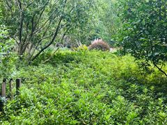 -徐家汇源景区-衡山公园