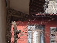 -长春观