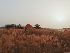 -青龙湖公园