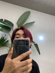 -Y-STUDIO原理