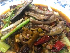 泡椒土鳝鱼-春涛餐馆(下坝店)