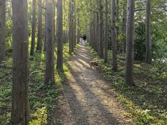 -上海长兴岛郊野公园