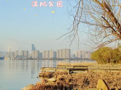 -长广溪湿地公园