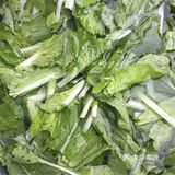 假假的家常菜之蚕豆白菜汤