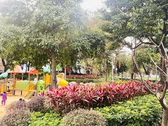 -荔湾区儿童公园