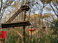 -WeLope紫金山探险公园