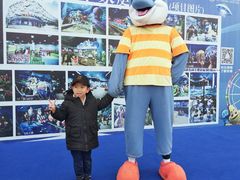 -青岛嘉年华主题乐园