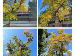 -苏州碑刻博物馆