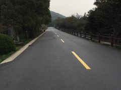 -普陀山风景名胜区-法雨禅寺