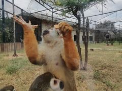 -石家庄市动物园