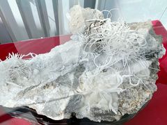 -房山世界地质公园博物馆