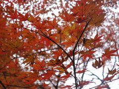 -湖南烈士公园(芙蓉区)