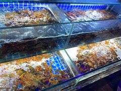 水产区-蚝魁竹笼蒸生蚝 余杭店