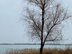 -阳澄湖半岛旅游度假区