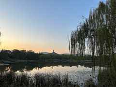 -北坞公园