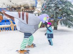 -长沙湘江冰雪世界