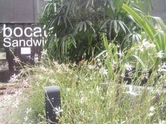 -BOCATA 西班牙餐厅(三里屯店)