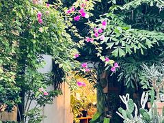 -自由生长植物工作室(深港花卉中心店)