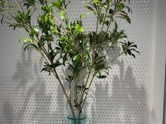 -潮堂 · 潮州菜(人广来福士店)