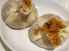-丁老爷子苏香圆
