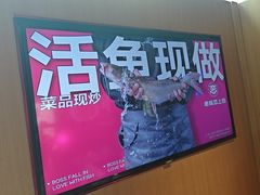 -老板恋上鱼(恒隆广场店)