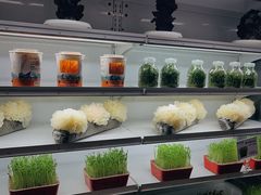 -番食园鲜食火锅(高新店)