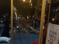 -小俩口烧烤东北菜(双井店)