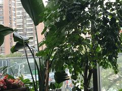 -斯比特花园意大利餐厅(缤谷广场店)