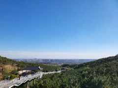 -大青山野生动物园