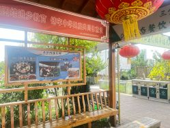 -三分地生态园·儿童乐园