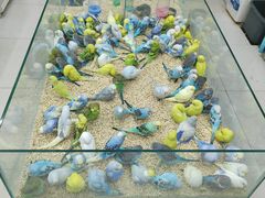 -三旗百汇商品城