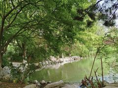 -青枫公园